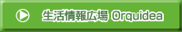 �������L��Orquidea